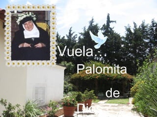 Vuela… Palomita  de Dios  