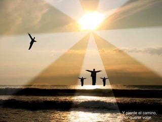 Y pierde el camino, Por querer volar. 