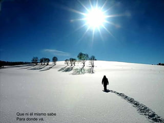 Que ni él mismo sabe Para donde va. 