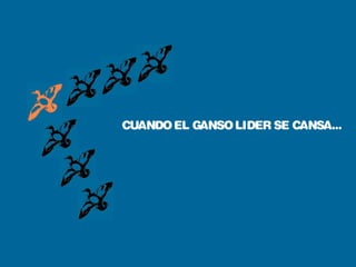 CUANDOEL GANSOLIDER SE CANSA...
 