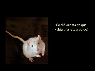 ¡Se dió cuenta de que
Había una rata a bordo!
 