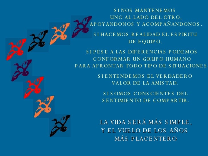 Acfi2001 essay 08 image