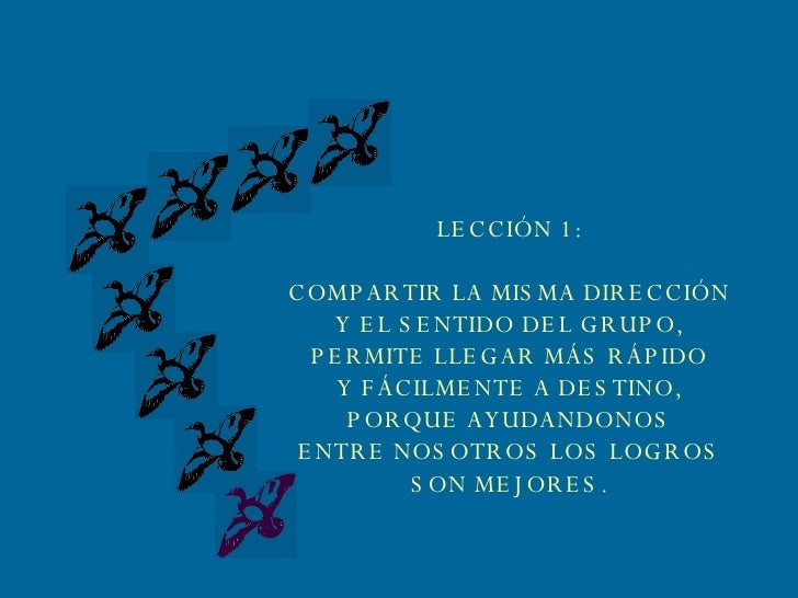 Acfi2001 essay 04 picture