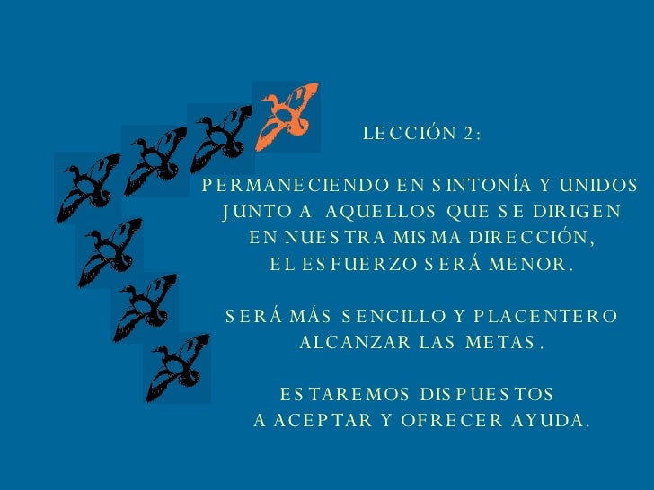 Acfi2001 essay 07 picture