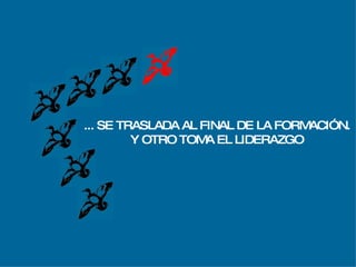 Vuelo De  Los Gansos