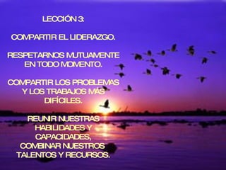 Vuelo De  Los Gansos