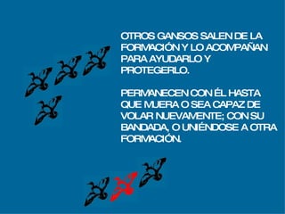 Vuelo De  Los Gansos