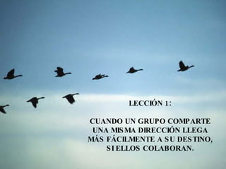 Vuelo De  Los Gansos