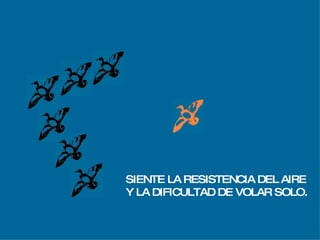 Vuelo De  Los Gansos