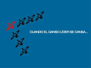 Vuelo De  Los Gansos