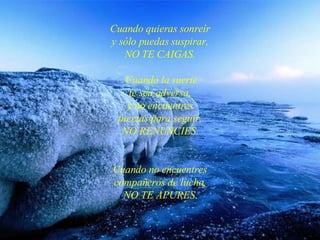 Cuando quieras sonreír y sólo puedas suspirar , NO TE CAIGAS.  Cuando la suerte te sea adversa, y no encuentres fuerzas para seguir , NO RENUNCIES. C uando no encuentres compañeros de lucha, NO TE APURES. 