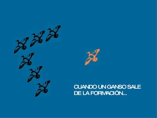CUANDO UN GANSO SALE  DE LA FORMACIÓN... 
