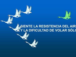 SIENTE LA RESISTENCIA DEL AIREY LA DIFICULTAD DE VOLAR SÓLO.