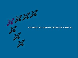 CUANDO EL GANSO LIDER SE CANSA... 