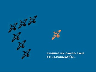 CUANDO UN GANSO SALE  DE LA FORMACIÓN... 