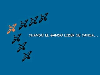 CUANDO EL GANSO LIDER SE CANSA...
 