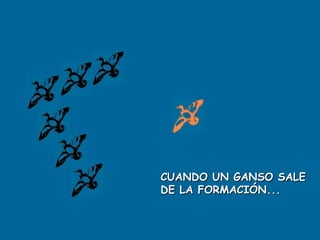 CUANDO UN GANSO SALE
DE LA FORMACIÓN...
 