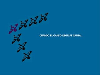 CUANDO EL GANSO LÍDER SE CANSA... 