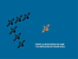 SIENTE LA RESISTENCIA DEL AIRE Y LA DIFICULTAD DE VOLAR SÓLO. 