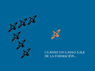 CUANDO UN GANS O S ALE
DE LA FORMACIÓN...
 