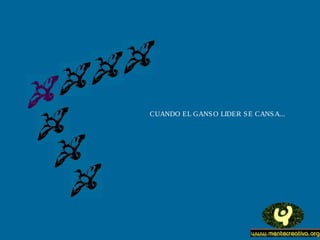 CUANDO EL GANS O LIDER S E CANS A...
 