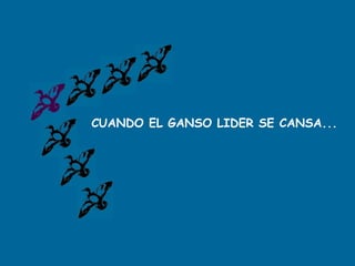 CUANDO EL GANSO LIDER SE CANSA...
 