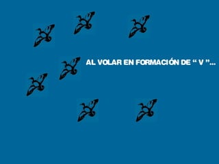 AL VOLAR EN FORMACIÓN DE “ V ”...
 