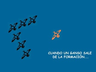 CUANDO UN GANSO SALE
DE LA FORMACIÓN...
 