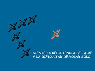 SIENTE LA RESISTENCIA DEL AIRE
Y LA DIFICULTAD DE VOLAR SÓLO.
 