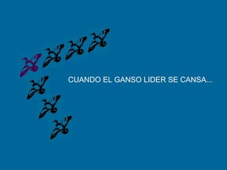 CUANDO EL GANSO LIDER SE CANSA...
 