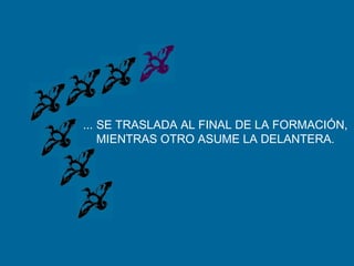 ... SE TRASLADA AL FINAL DE LA FORMACIÓN,
MIENTRAS OTRO ASUME LA DELANTERA.
 