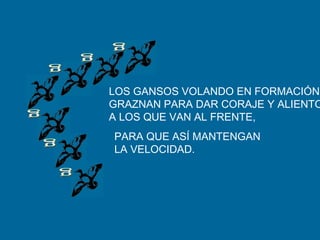 LOS GANSOS VOLANDO EN FORMACIÓN,
GRAZNAN PARA DAR CORAJE Y ALIENTO
A LOS QUE VAN AL FRENTE,
PARA QUE ASÍ MANTENGAN
LA VELOCIDAD.
 