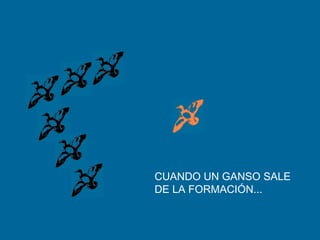 CUANDO UN GANSO SALE
DE LA FORMACIÓN...
 