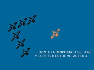 … SIENTE LA RESISTENCIA DEL AIRE
Y LA DIFICULTAD DE VOLAR SOLO.
 