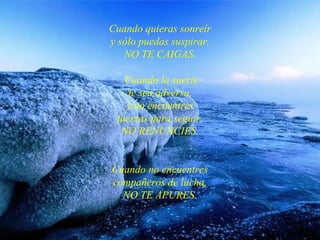 Cuando quieras sonreír y sólo puedas suspirar , NO TE CAIGAS.  Cuando la suerte te sea adversa, y no encuentres fuerzas para seguir , NO RENUNCIES. C uando no encuentres compañeros de lucha, NO TE APURES. 