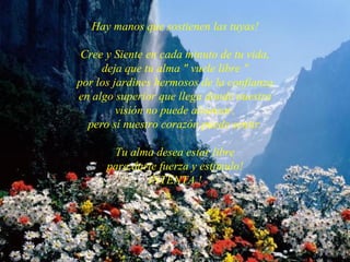 Hay manos que sostienen las tuyas! Cree y Siente en cada minuto de tu vida, deja que tu alma " vuele libre " por los jardines hermosos de la confianza en algo superior que llega donde nuestra visión no puede alcanzar, pero sí nuestro corazón puede sentir. Tu alma desea estar libre para darte fuerza y estímulo! INTENTA ! 