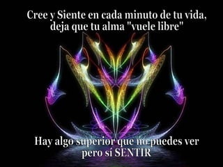 Cree y Siente en cada minuto de tu vida,  deja que tu alma "vuele libre"  Hay algo superior que no puedes ver pero sí SENTIR 