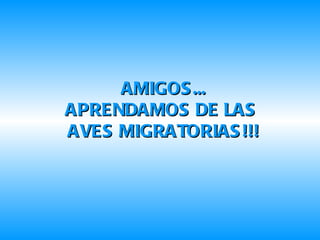 AMIGOS... APRENDAMOS DE LAS  AVES MIGRATORIAS!!! 