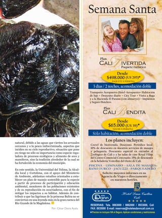 Transporte Aeropuerto-Hotel-Aeropuerto+ Habitación
                                                         de lujo + Desayuno diario + City Tour + Visita a Buga
                                                         y a la Hacienda El Paraiso (con almuerzo) + Impuestos
                                                         y Seguro Hotelero.




natural, debido a las aguas que vierten los arrozales
cercanos y a la pesca indiscriminada, aspectos que       Coctel de bienvenida. Desayuno. Periódico local.
                                                         10% de descuento en nuestros servicios de masajes
inciden en su ciclo reproductivo, situación que pone
                                                         y peluquería. Descuento especial en entradas al
en riesgo no sólo su importancia como especie regu-
                                                         Zoológico de Cali y a las salas de cine Royal Films
ladora de procesos ecológicos y alimento de aves y
                                                         del Centro Comercial Centenario. 15% de descuento
mamíferos, sino la tradición alrededor de la cual se
                                                         en la heladería Ventolini del Oeste de Cali.
ha fortalecido la economía del municipio.

En este sentido, la Universidad del Tolima, la Alcal-
día local y Cortolima, con el apoyo del Ministerio
de Ambiente, adelantan estudios orientados a esta-
blecer un plan de manejo sostenible para la especie
a partir de procesos de participación y educación
ambiental, monitoreo de las poblaciones existentes
y de su reproducción en zoocriaderos, con el fin de
mitigar los impactos a su hábitat. Además de con-
tribuir a que las lágrimas de la princesa Bulira no se
conviertan en una leyenda más en la gran cuenca del
Río Grande de la Magdalena.
                              Por: César Devia Ayala.
                                                                                                          43
 