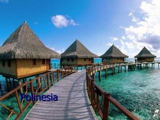 Polinesia
