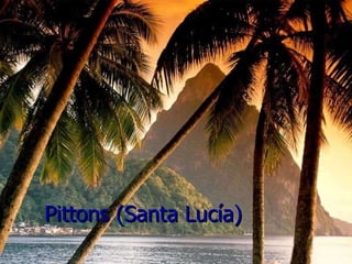 Pittons (Santa Lucía)