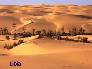 Libia