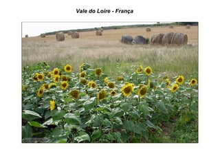 Vale do Loire - França
 