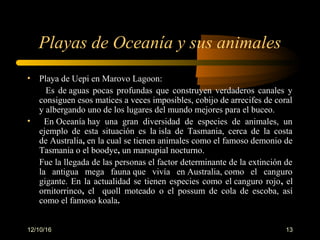 12/10/16 13
Playas de Oceanía y sus animales
• Playa de Uepi en Marovo Lagoon:
Es de aguas pocas profundas que construyen verdaderos canales y
consiguen esos matices a veces imposibles, cobijo de arrecifes de coral
y albergando uno de los lugares del mundo mejores para el buceo.
• En Oceanía hay una gran diversidad de especies de animales, un
ejemplo de esta situación es la isla de Tasmania, cerca de la costa
de Australia, en la cual se tienen animales como el famoso demonio de
Tasmania o el boodye, un marsupial nocturno.
Fue la llegada de las personas el factor determinante de la extinción de
la antigua mega fauna que vivía en Australia, como el canguro
gigante. En la actualidad se tienen especies como el canguro rojo, el
ornitorrinco, el quoll moteado o el possum de cola de escoba, así
como el famoso koala.
 