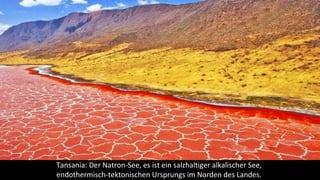 Tansania: Der Natron-See, es ist ein salzhaltiger alkalischer See,
endothermisch-tektonischen Ursprungs im Norden des Landes.
 