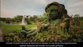Canadá: El jardín botánico de Montreal en Quebec es una de las más espectaculares
jardines botánicos del mundo. Fue creado 1931año
 