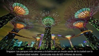 Singapur: Los parques más cercanos a la bahía son un rincón verde de la ciudad con la
biodiversidad notable . Construido más de 625 millones de euros.
 