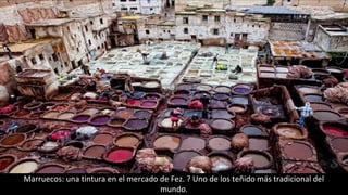 Marruecos: una tintura en el mercado de Fez. ? Uno de los teñido más tradicional del
mundo.
 