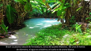 Brasil: La piscina natural de Fervedouro, cerca del pueblo Mateiros. De unos 8 metros
de diámetro, el agua es cristalina y el suelo es de arena blanca.
 