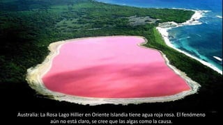Australia: La Rosa Lago Hillier en Oriente Islandia tiene agua roja rosa. El fenómeno
aún no está claro, se cree que las algas como la causa.
 